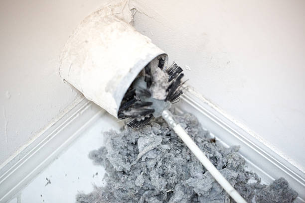 Best Professional Duct Cleaning Services  in Vivian, LA